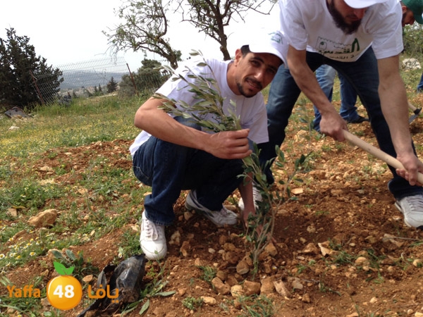 ludandyaffazaitoon (23).JPG